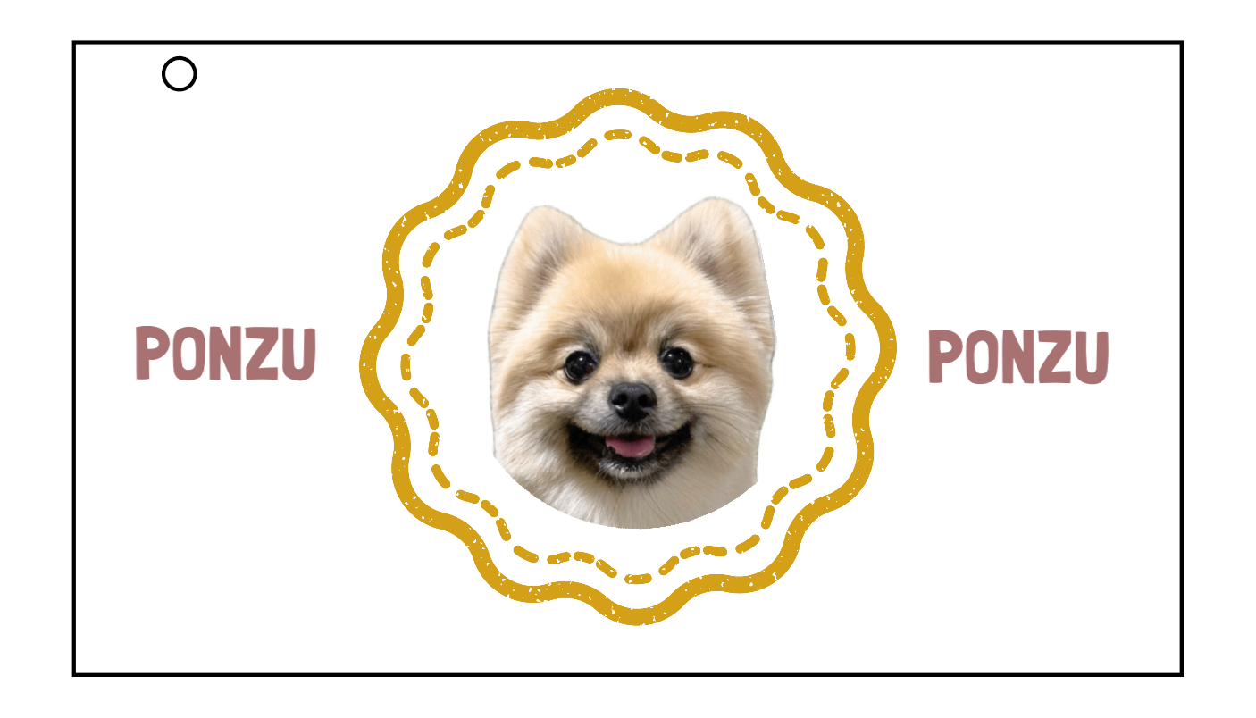 マルチケース Sサイズ