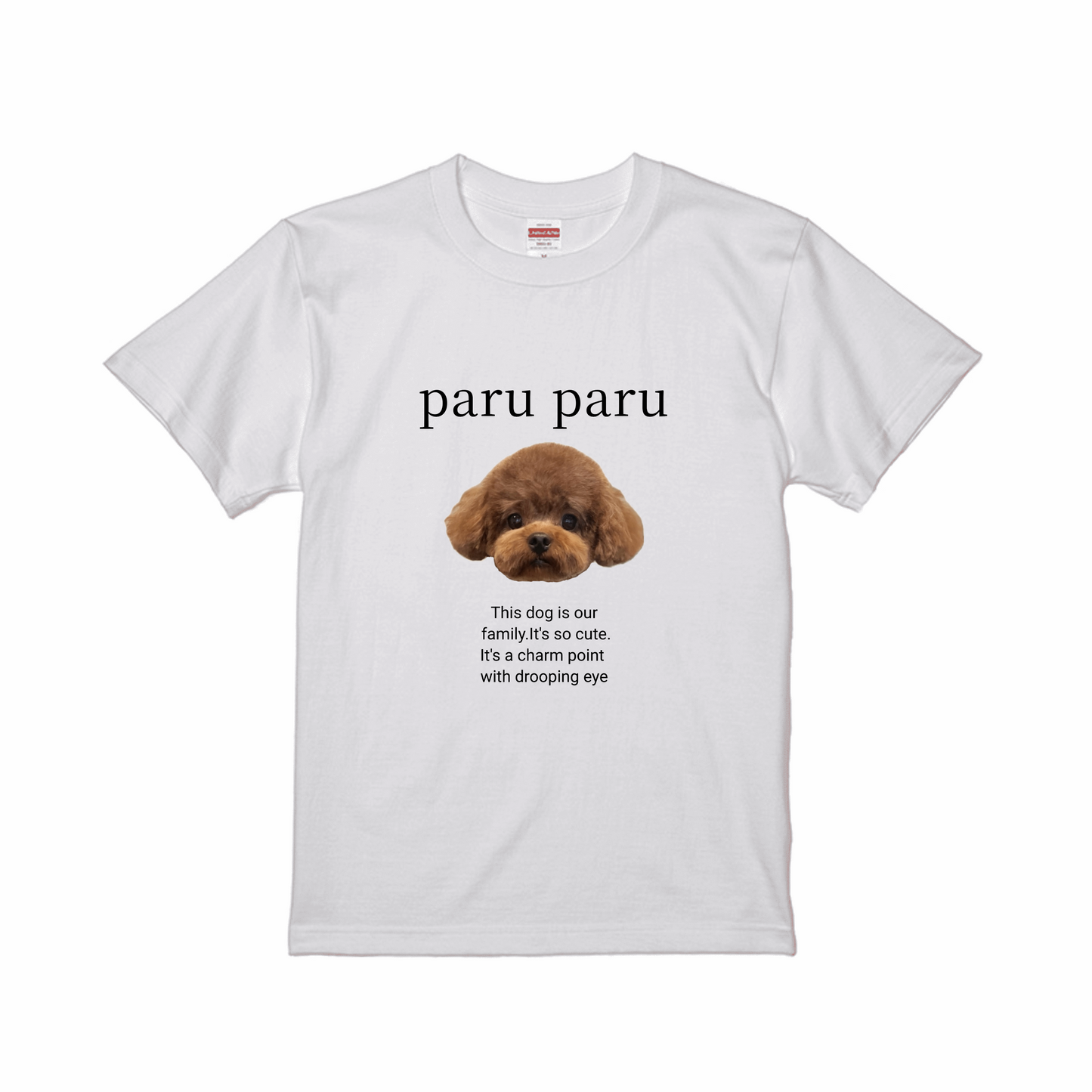 ホワイトスタンダード半袖Tシャツ Mサイズ