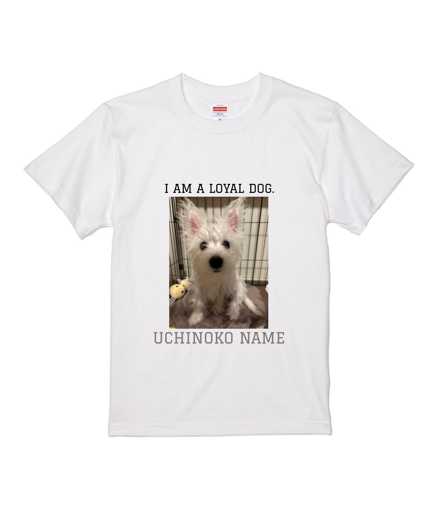 ホワイトスタンダード半袖Tシャツ Sサイズ