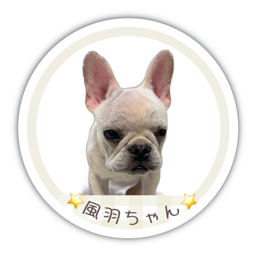 おやつ缶 丸缶 Sサイズ