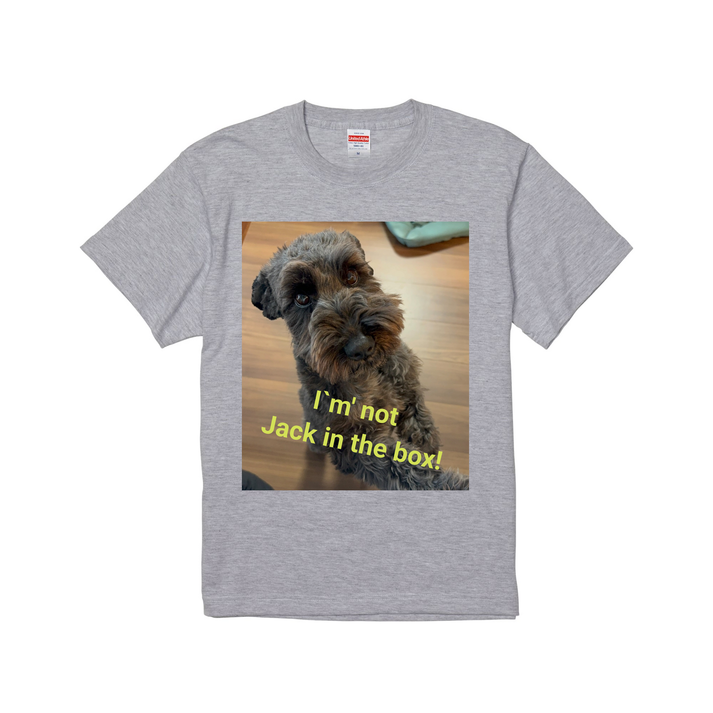 アッシュスタンダード半袖Tシャツ Mサイズ