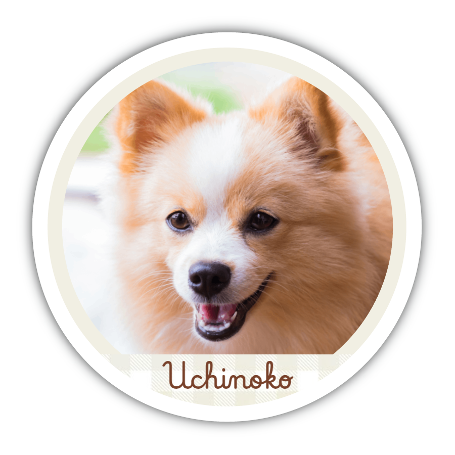 うちの子 シンプル（写真入替で完成）