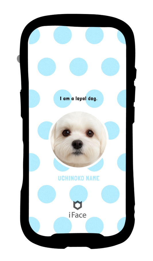 うちの子 水玉（写真入替で完成）