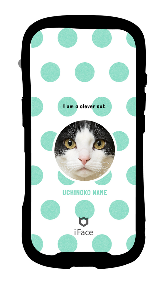 うちの子 水玉（写真入替で完成）