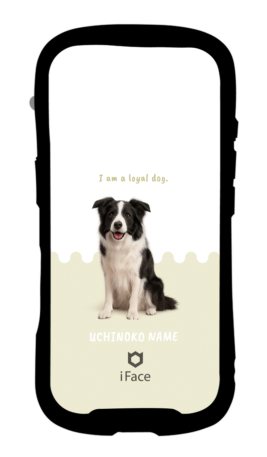 うちの子 なみなみ（写真入替で完成）